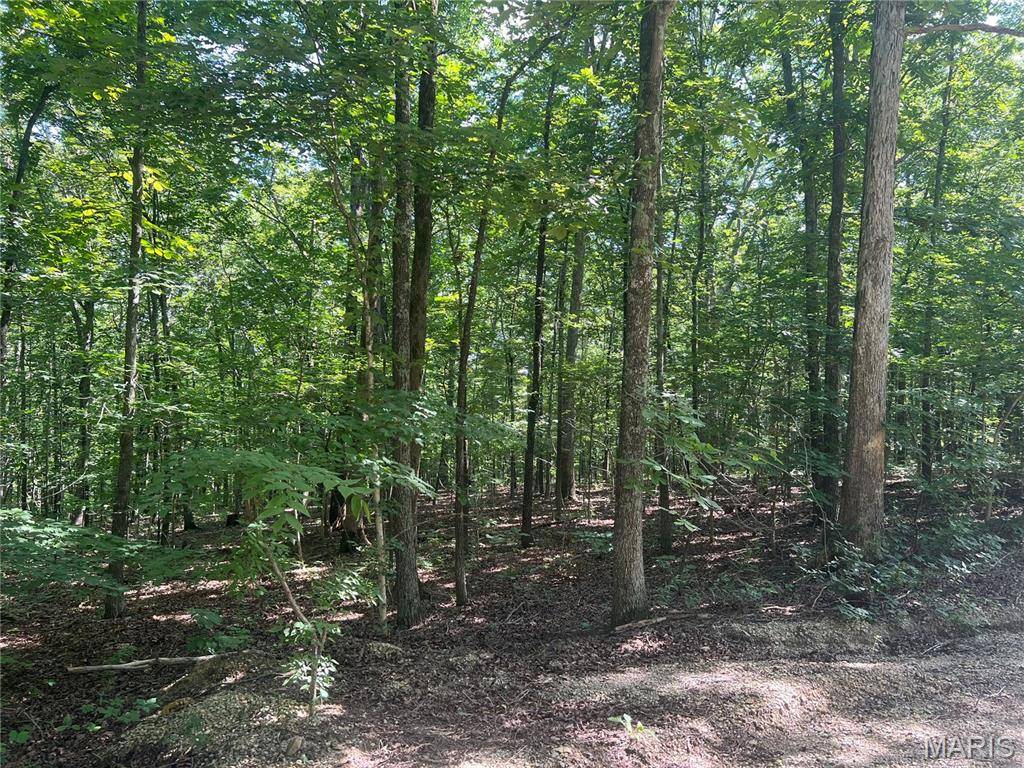 TBD Forest Dr, Wappapello, MO 63966
