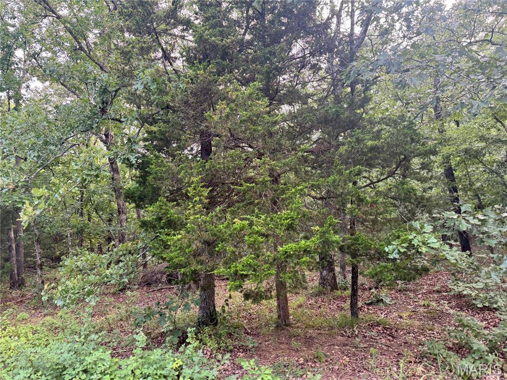 645 Pond Run RD, Gerald, MO 63037