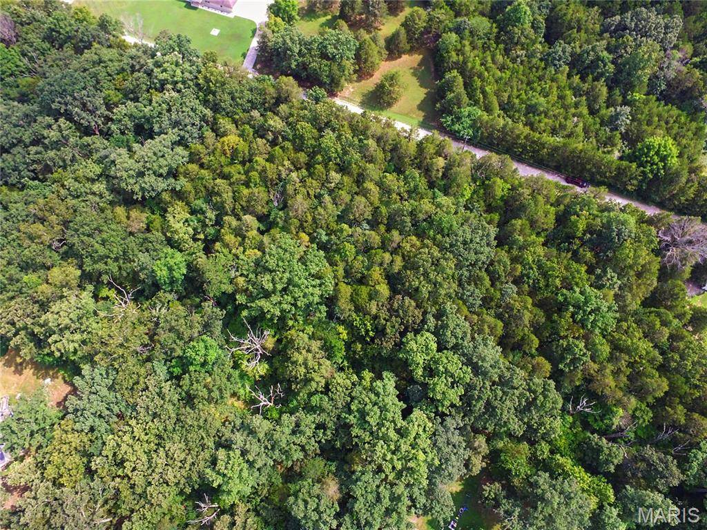 55 & 56 Cedargate, Dittmer, MO 63023