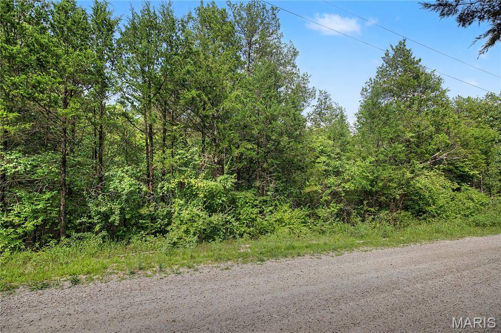 55 & 56 Cedargate, Dittmer, MO 63023