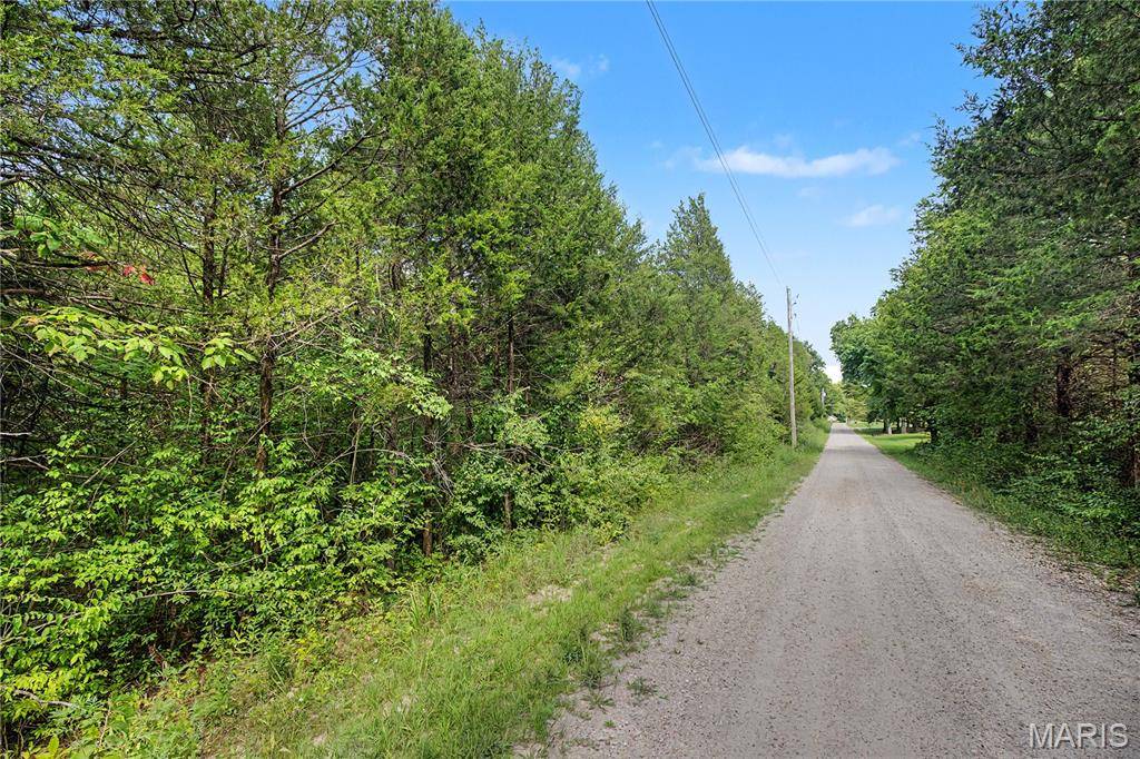 53 & 54 Cedargate, Dittmer, MO 63023