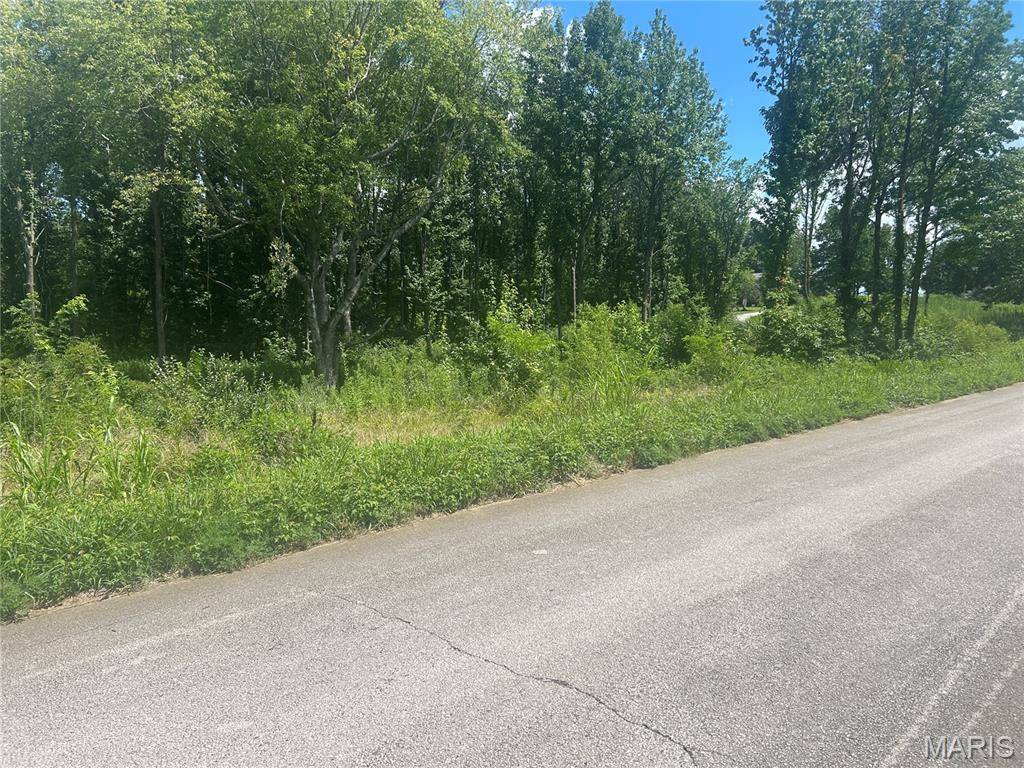 0 TAMARAK LN, Dexter, MO 63841