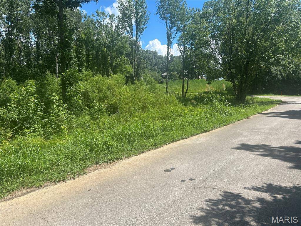 0 TAMARAK LN, Dexter, MO 63841