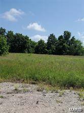 0 Route 66 (Hwy W), Phillipsburg, MO 65722
