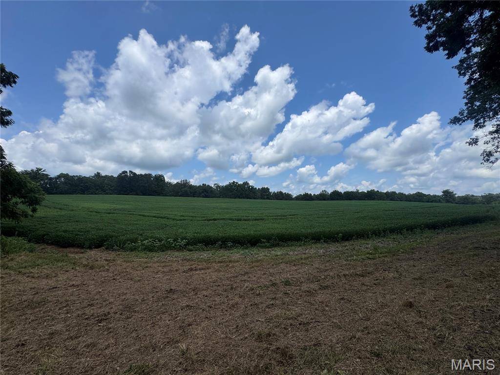 101.14+/- ac Highway D, Frohna, MO 63748