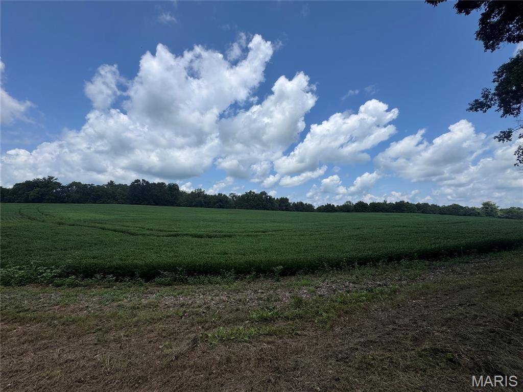101.14+/- ac Highway D, Frohna, MO 63748