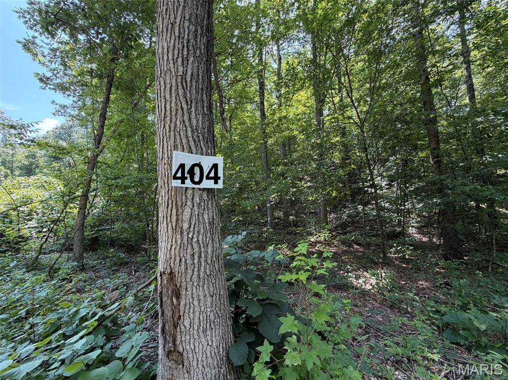 #404 Madison 410, Fredericktown, MO 63645