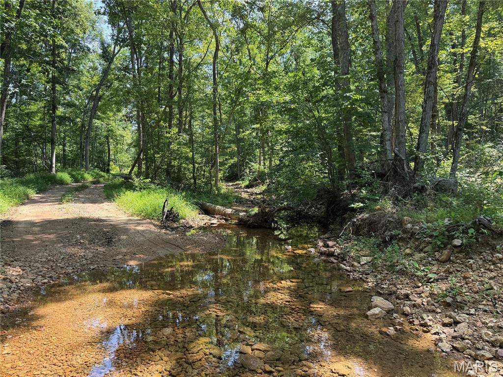 #404 Madison 410, Fredericktown, MO 63645