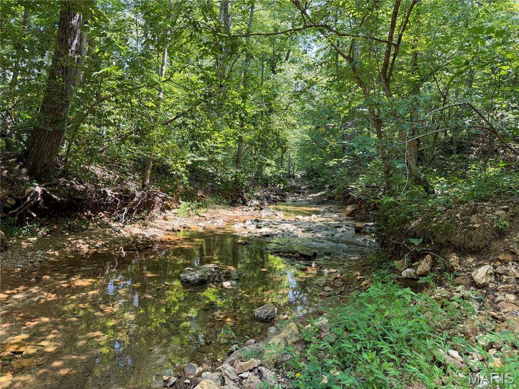 #408 Madison 410, Fredericktown, MO 63645
