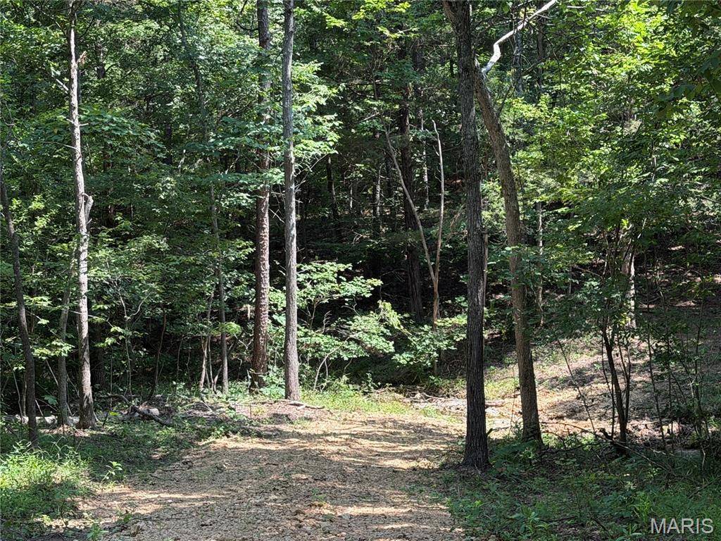#408 Madison 410, Fredericktown, MO 63645