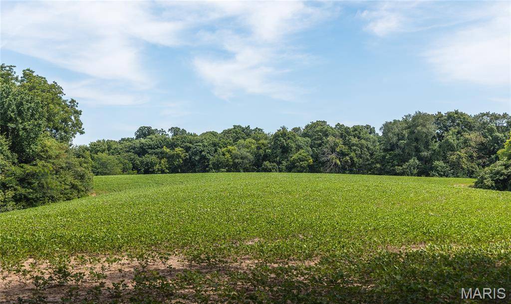 TBD Pellikan Lane, Grafton, IL 62052