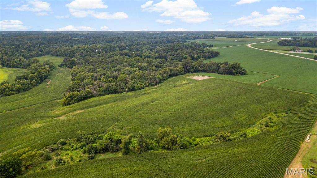 4145 Levy LN, Millstadt, IL 62260