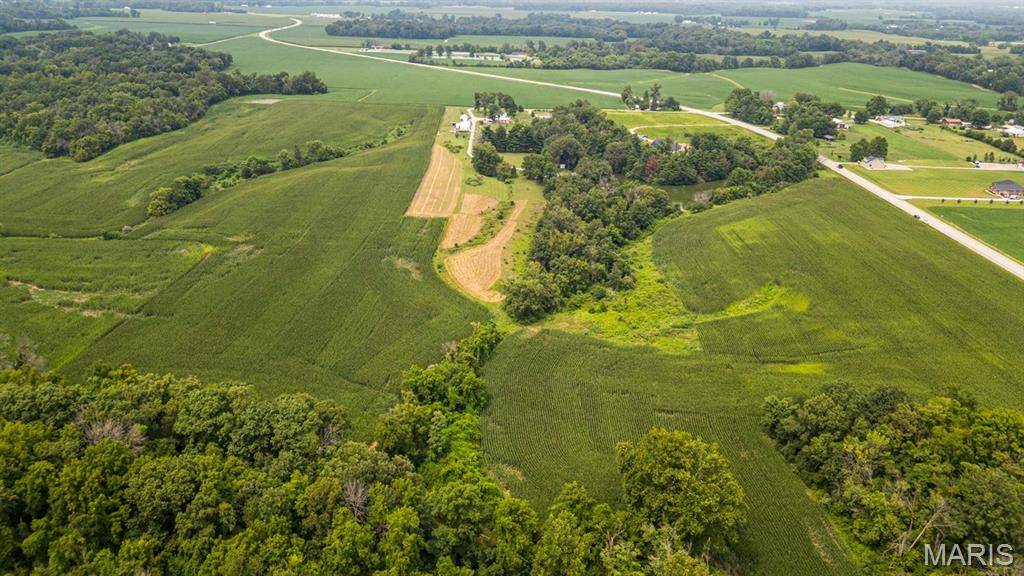 XXX Levy LN, Millstadt, IL 62260