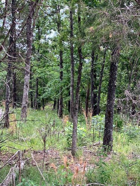 75 Madison CR 410, Fredericktown, MO 63645