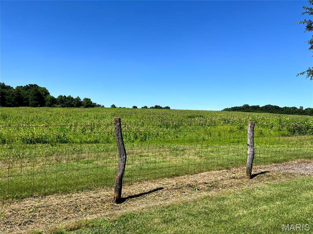 46.22 acres m/l on Highway H, Silex, MO 63377