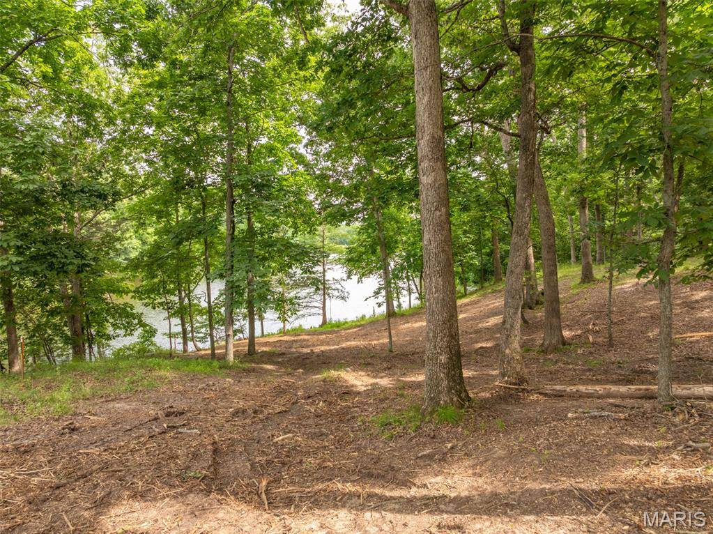463 Foxfire Crossing DR, Innsbrook, MO 63390