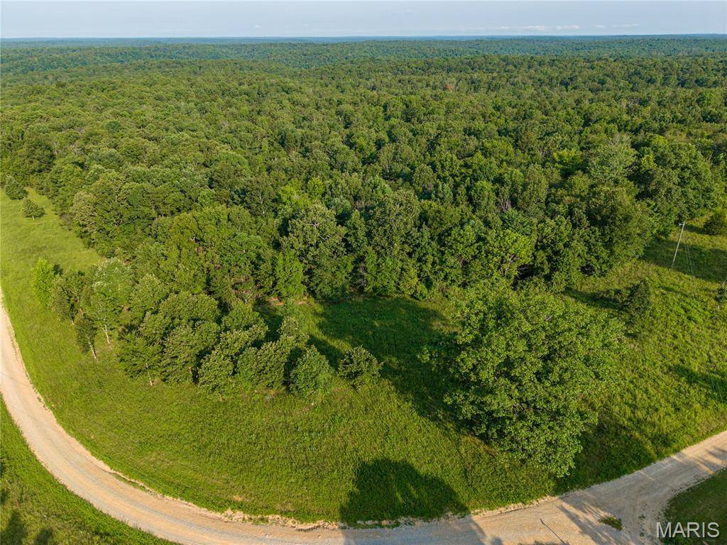 001 BB Highway, Fairdealing, MO 63945