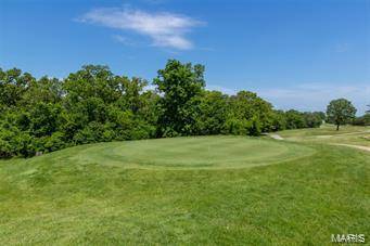 10125 Lake Ridge DR, Hillsboro, MO 63050