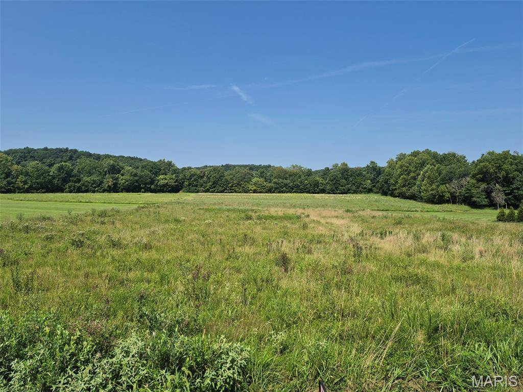 225 Valley View (Lot 29) DR, Hawk Point, MO 63349