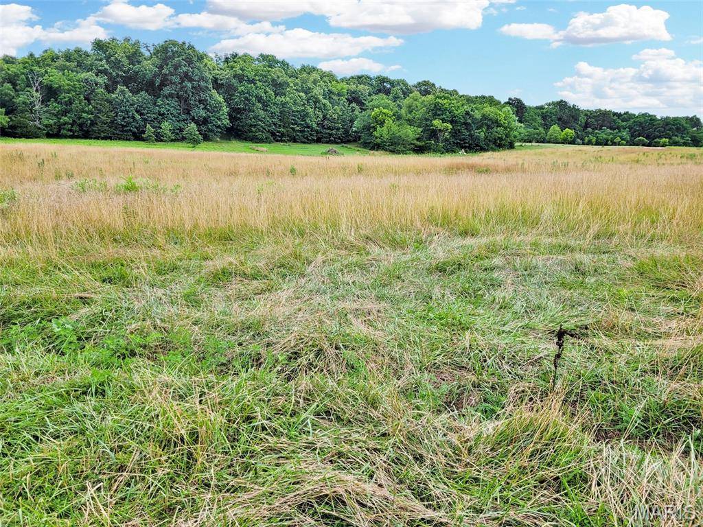 225 Valley View (Lot 29) DR, Hawk Point, MO 63349