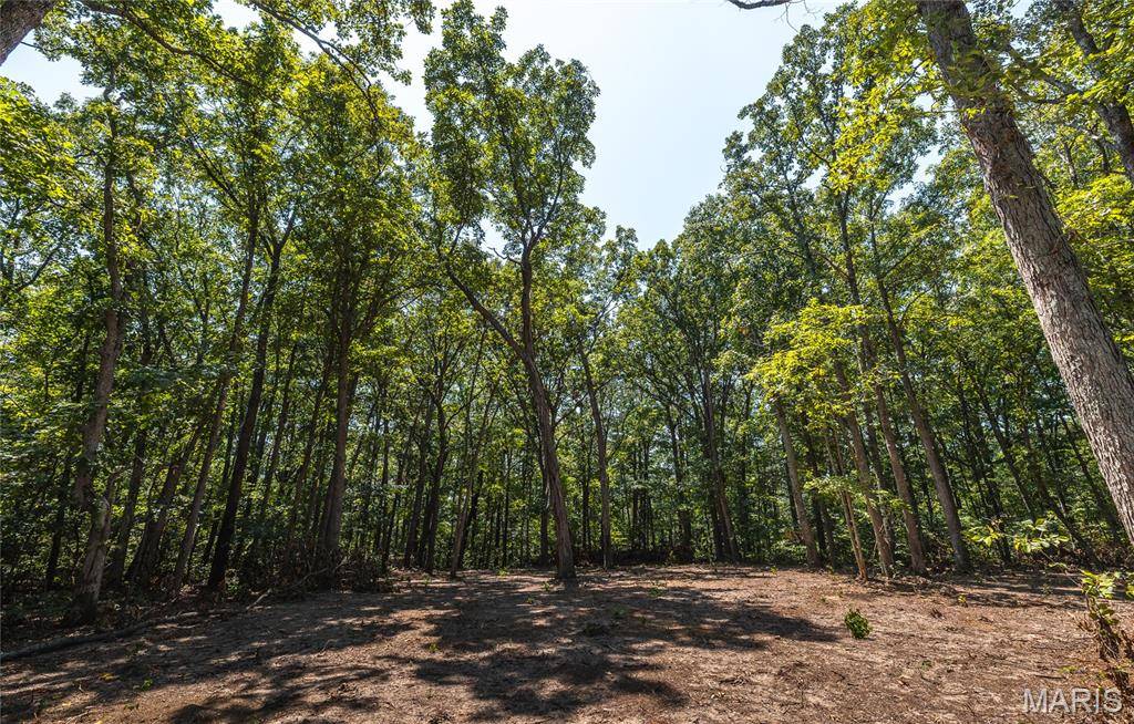 000 Highway A, Sullivan, MO 63080
