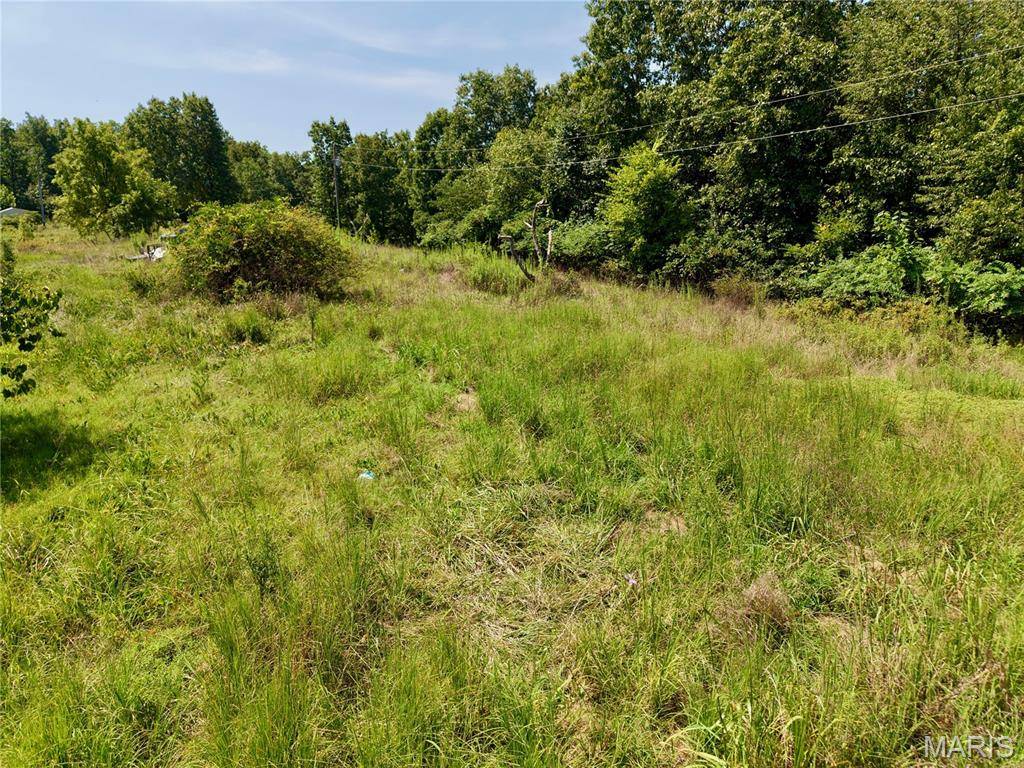 1333 County Road 565, Van Buren, MO 63965