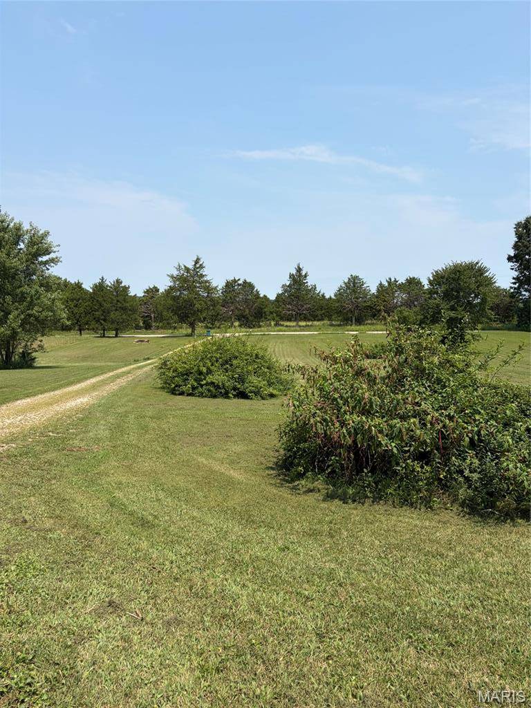8560 Saffell RD, Bonne Terre, MO 63628