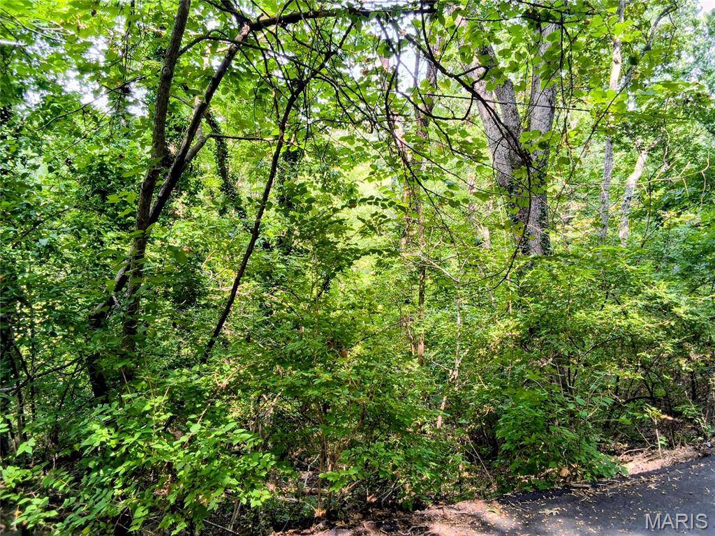 Lot9 Block C Woodland DR, Cedar Hill, MO 63016