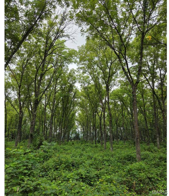 TBD Red Oak Rd, Waynesville, MO 65583