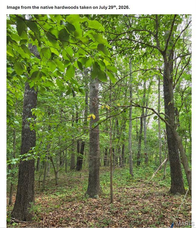 TBD Red Oak Rd, Waynesville, MO 65583