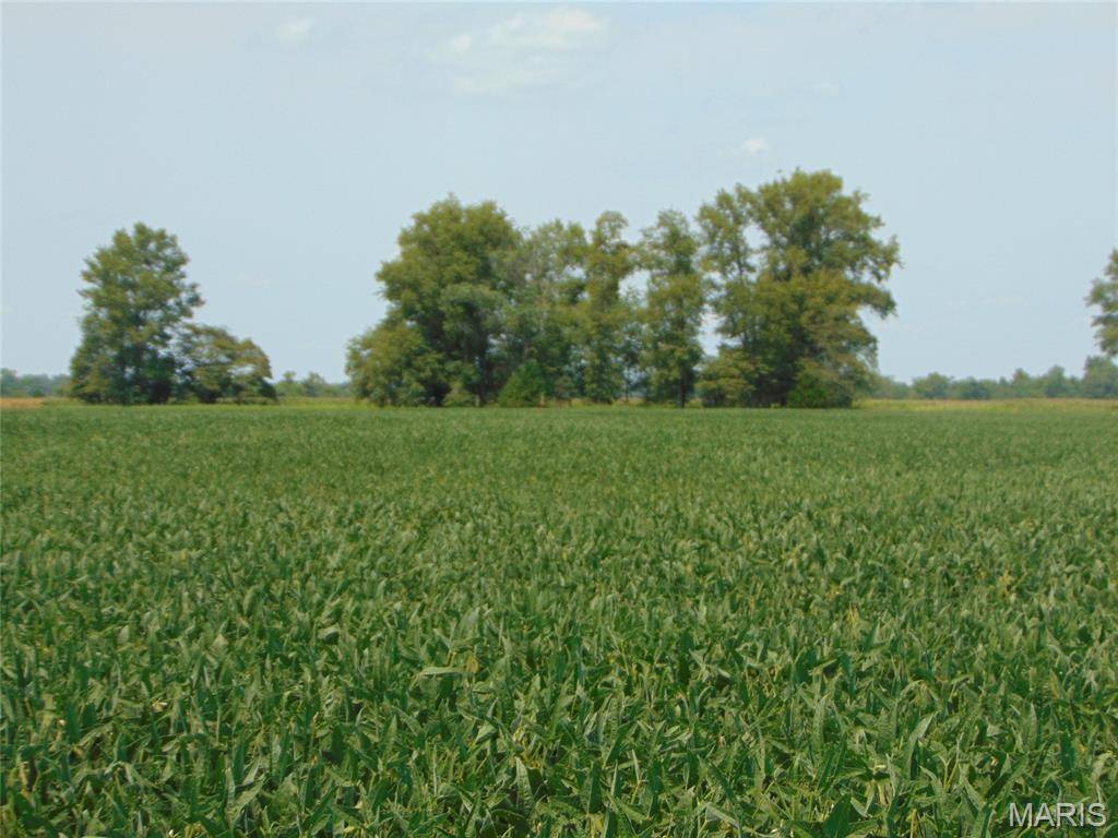 0000 State Route 14, Duquoin, IL 62832