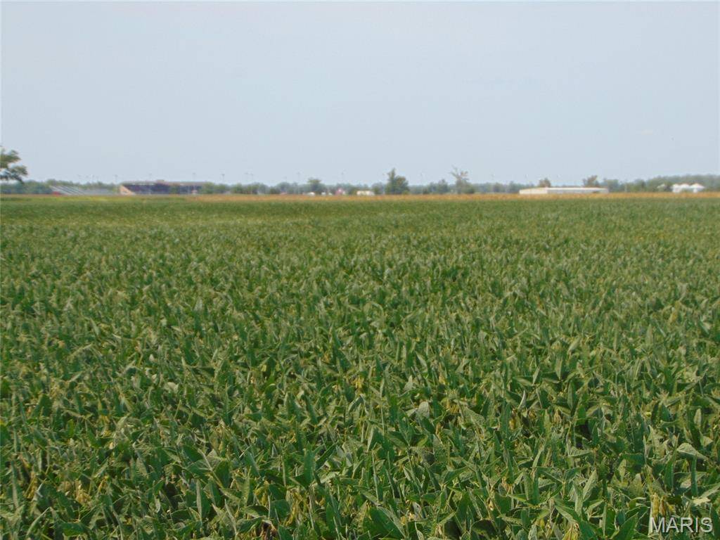 0000 State Route 14, Duquoin, IL 62832