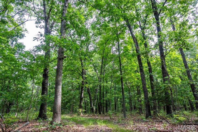 Tract 1 00 Summit RD, Hartville, MO 65667