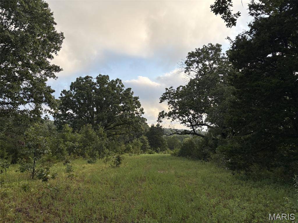 245+/- Acres Hwy 185, Sullivan, MO 63080