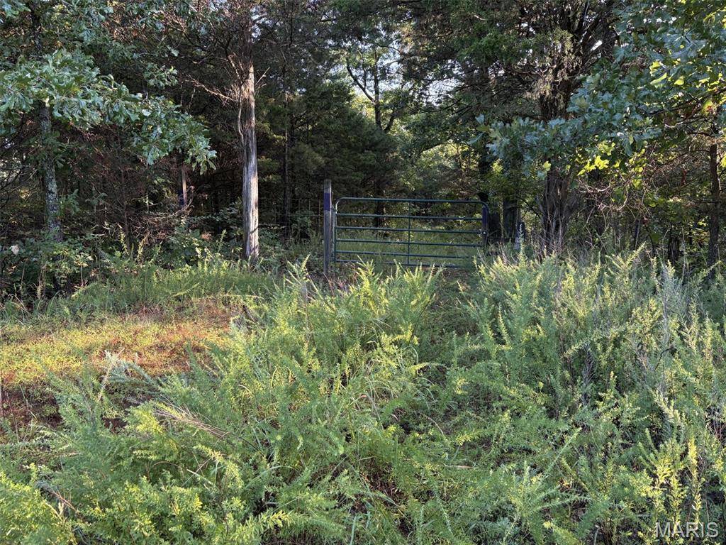 245+/- Acres Hwy 185, Sullivan, MO 63080