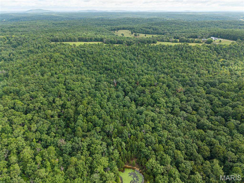 000 County Road 434, Piedmont, MO 63957