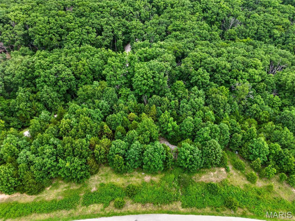 2482 Alpine Summit DR, Innsbrook, MO 63390