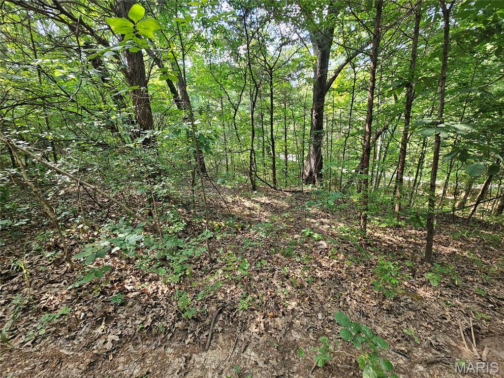 9468 Bent Tree DR, Hillsboro, MO 63050