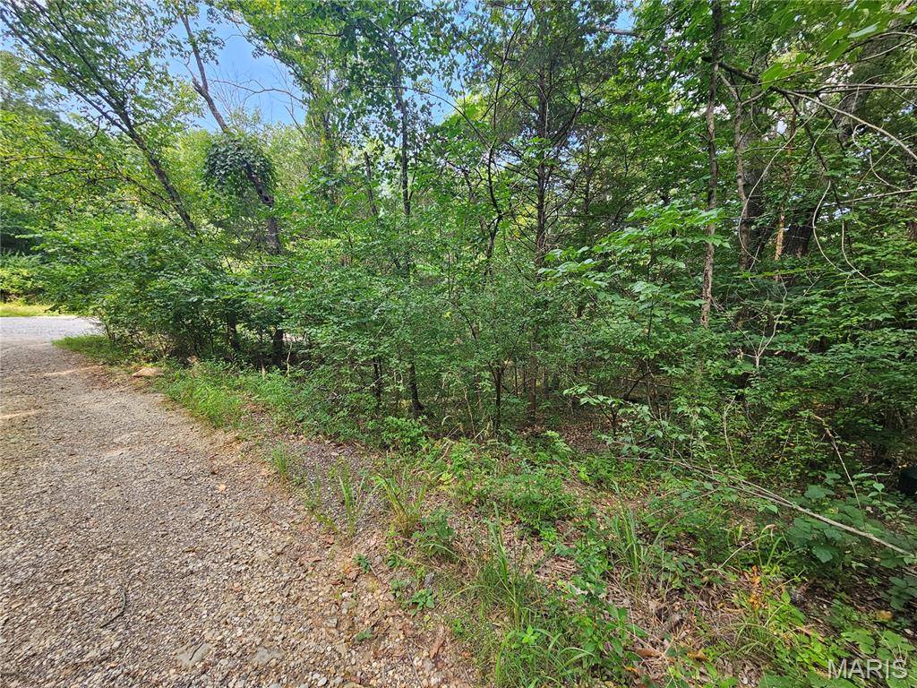 9468 Bent Tree DR, Hillsboro, MO 63050