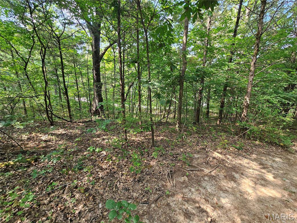 9468 Bent Tree DR, Hillsboro, MO 63050