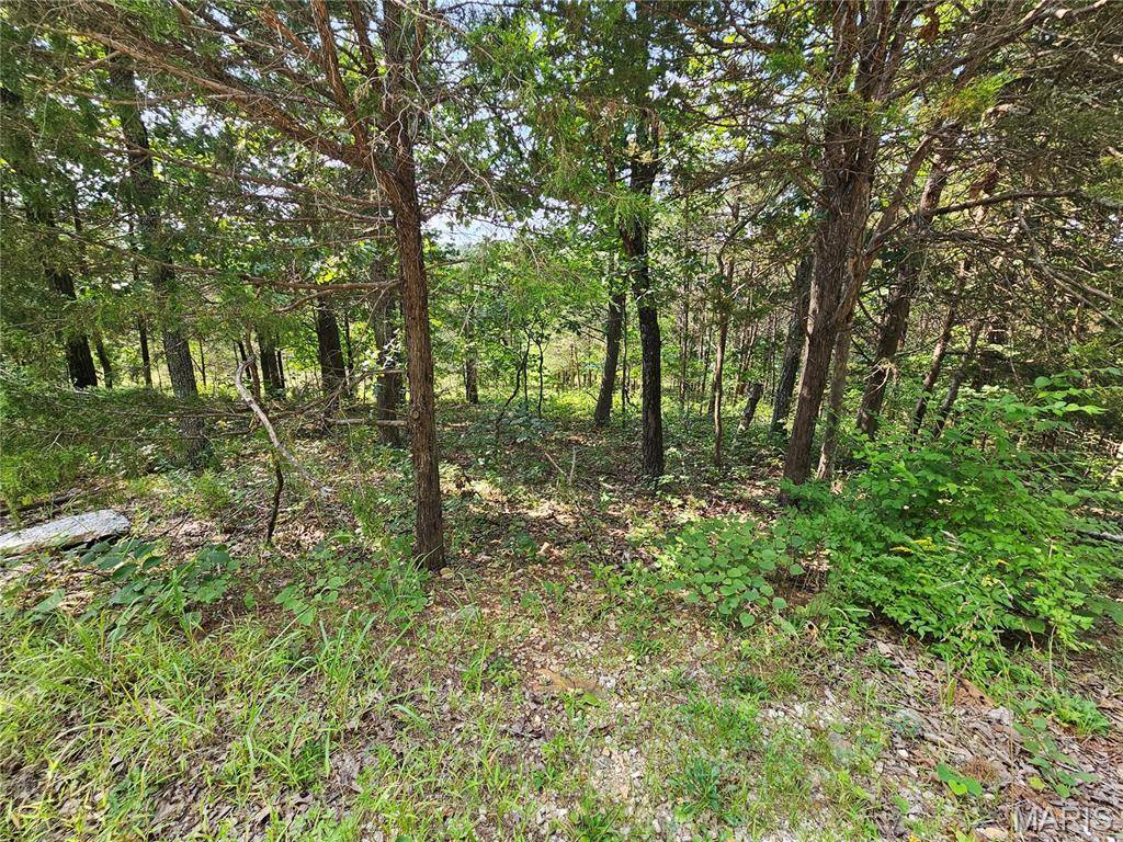 10515 Eagles Nest DR, Hillsboro, MO 63050