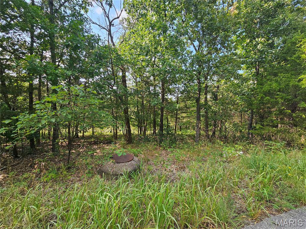 10515 Eagles Nest DR, Hillsboro, MO 63050