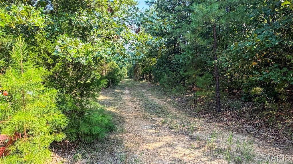 11620 Slaughter RD, Licking, MO 65542