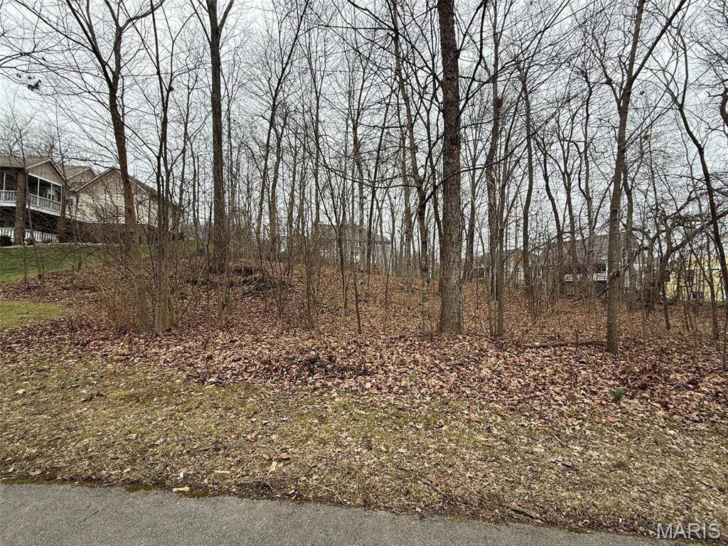 2304 Brister Hill DR, Cape Girardeau, MO 63701