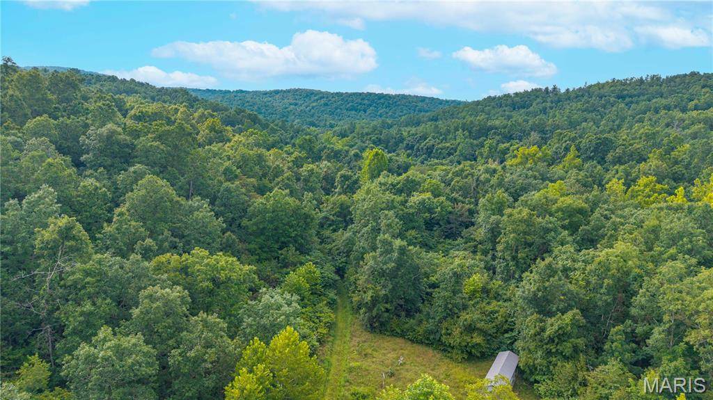 301 County Road 203, Annapolis, MO 63620