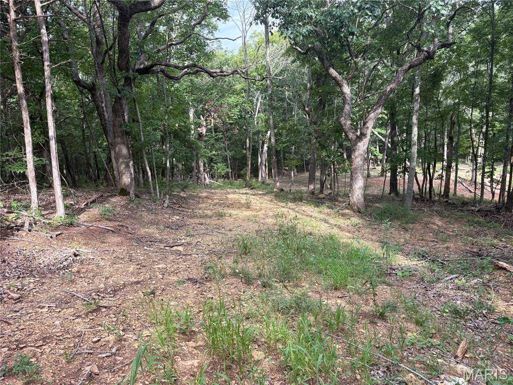 1616 Timber Bluff TRL, Pacific, MO 63069