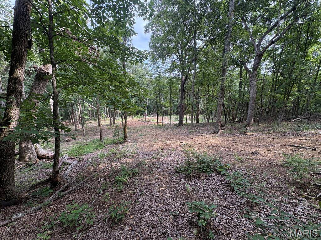 1616 Timber Bluff TRL, Pacific, MO 63069