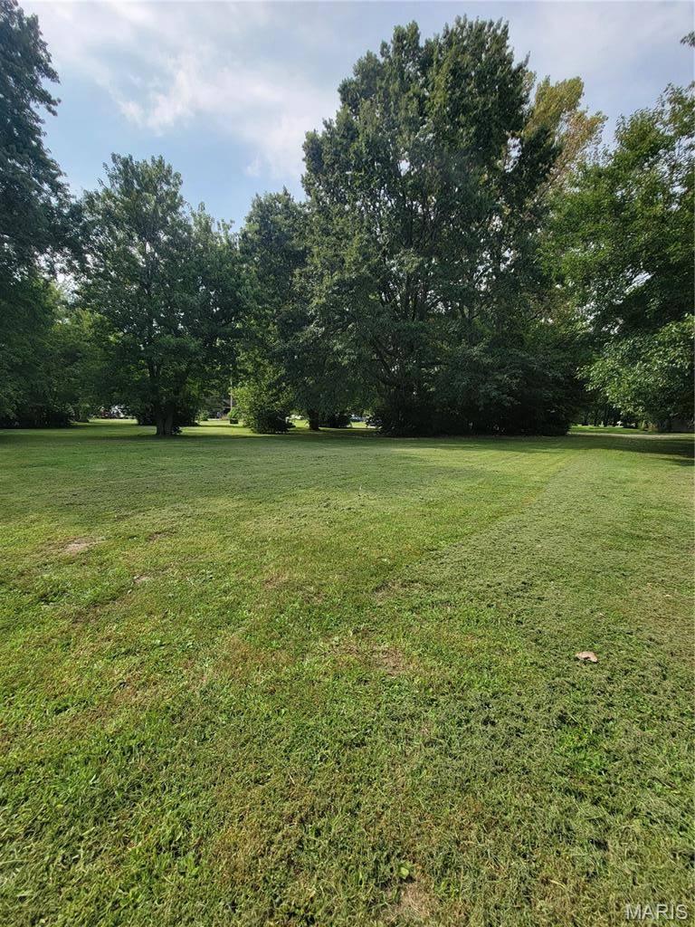 TBD S Walnut ST, Litchfield, IL 62056