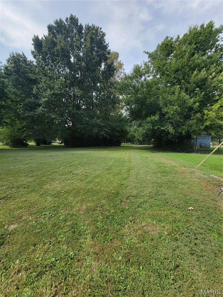 TBD S Walnut ST, Litchfield, IL 62056