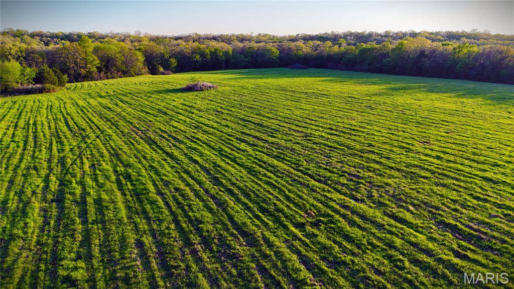 000 Brainerd Ln, Crocker, MO 65452